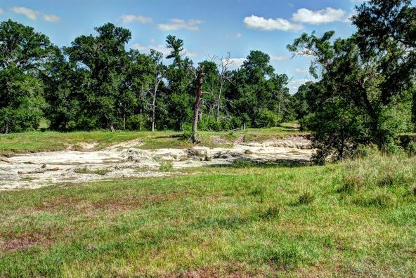 Grimes County Ranch: FM 3090 & CR 306, Anderson, TX 77830